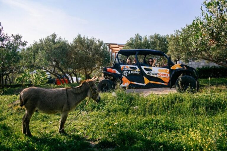Dubrovnik: Private Buggy Safari Guided Tour (3 hours) - What to Expect on the Tour