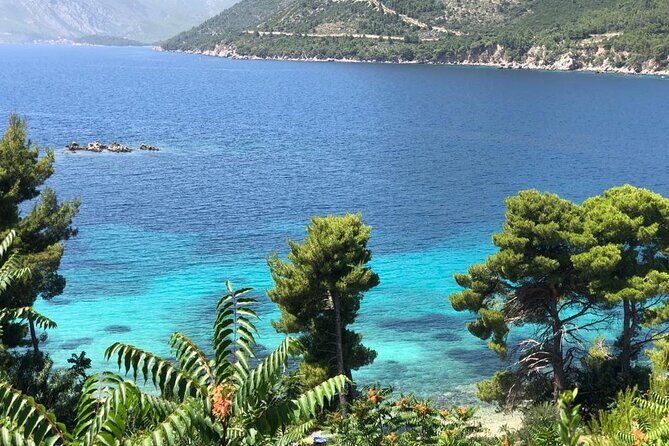 Dubrovnik Private Wine Tasting Tour To Peljesac - What Makes This Tour Stand Out?