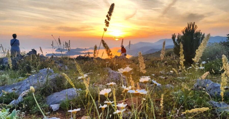Dubrovnik: Sunset Panorama Tour with Glass of Wine - Why This Tour Offers Good Value