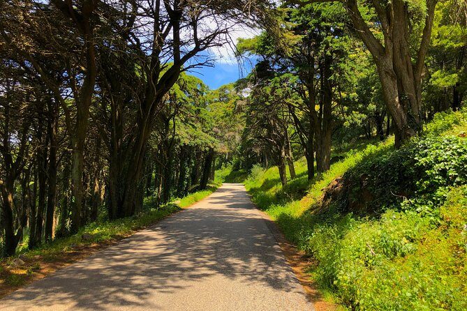 E-Bike Self-Guided Sintra - Cascais (Private Tour from Lisbon) - What Travelers Say