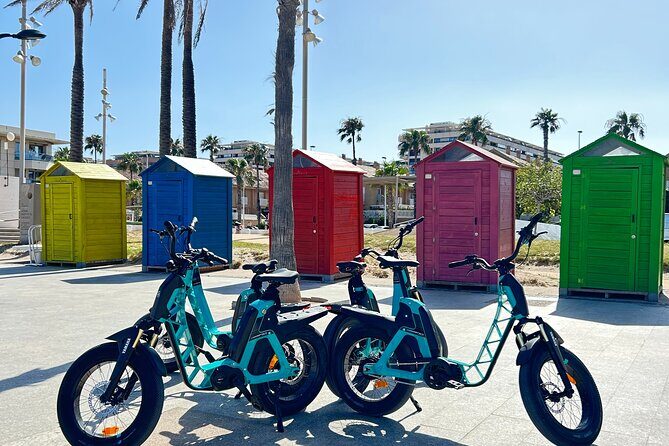 E-bike Tour: Beaches, & City of Arts and Sciences (From 30,00) - Final Thoughts