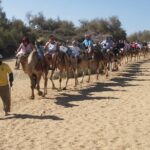 E-Bike Tour with Camel Safari through the Maspalomas Sand Dunes - Final Thoughts