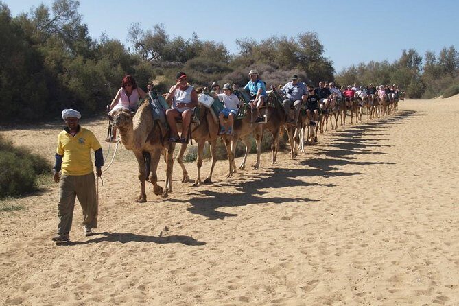 E-Bike Tour with Camel Safari through the Maspalomas Sand Dunes - Final Thoughts