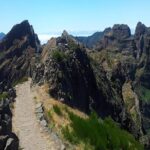EAST: Pico do Arieiro & Laurissilva Forest - Full Day tour - Who Is This Tour Perfect For?
