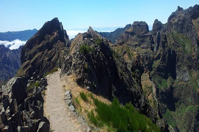 EAST: Pico do Arieiro & Laurissilva Forest - Full Day tour - Who Is This Tour Perfect For?
