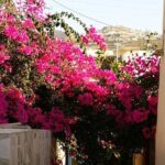 Easy Walks in Santorini Private Half Day Tour - In-Depth Breakdown of the Itinerary