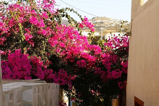 Easy Walks in Santorini Private Half Day Tour - In-Depth Breakdown of the Itinerary