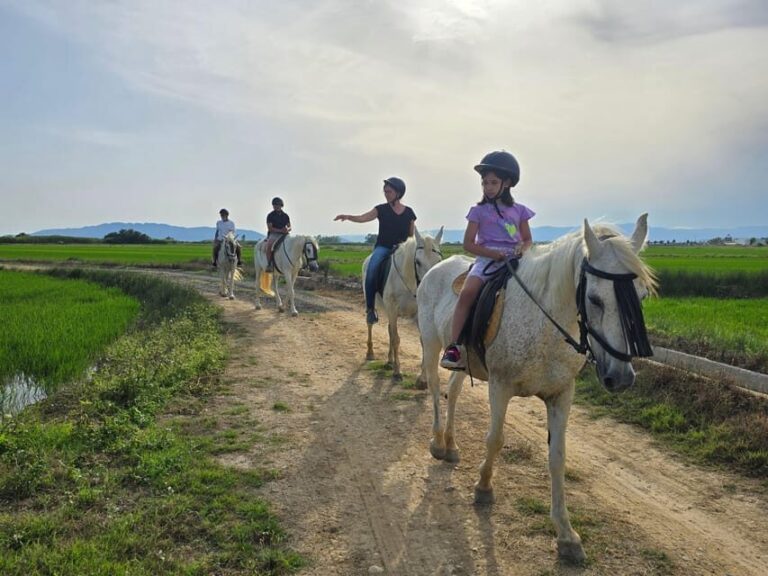Ebro Delta National Park: Guided Horseback Riding Tour - A Detailed Look at the Experience