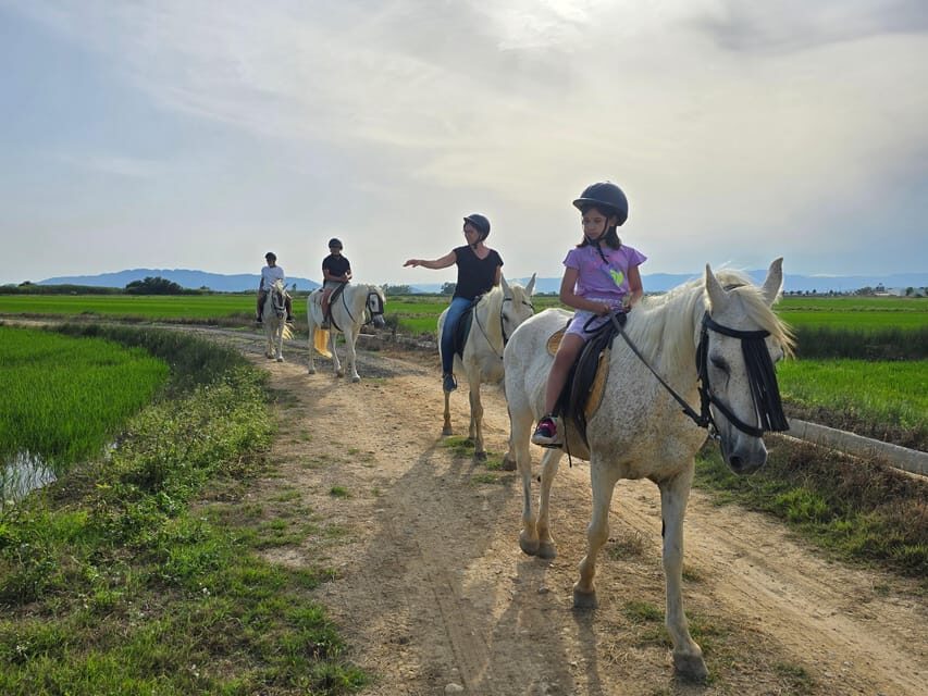 Ebro Delta National Park: Guided Horseback Riding Tour - A Detailed Look at the Experience