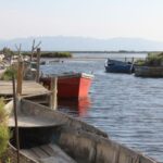 Ebro Delta: Northern Delta Guided Tour with a Local - A Deep Dive into the Northern Ebro Delta Guided Tour