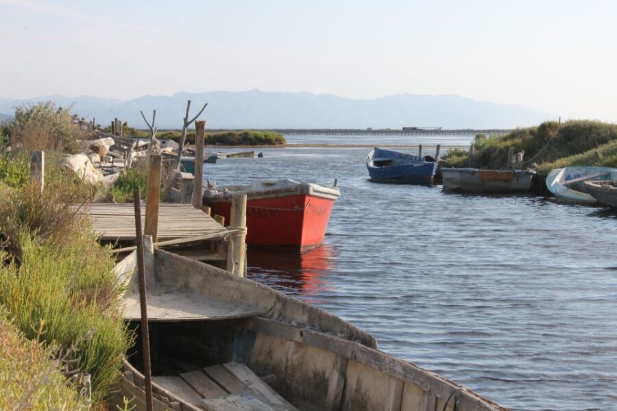 Ebro Delta: Northern Delta Guided Tour with a Local - A Deep Dive into the Northern Ebro Delta Guided Tour
