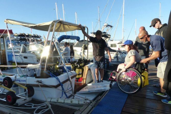 Eco Adapted Diving in Tenerife - The Sum Up