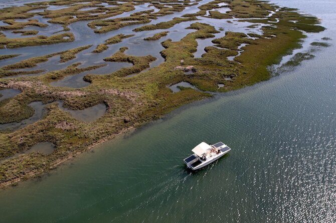 Eco Boat Tour in the Ria Formosa Lagoon from Faro - A Detailed Look at the Eco Boat Tour in Ria Formosa