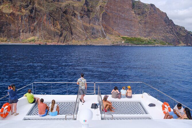 Eco-Friendly Catamaran Dolphin and Whale Watching - An Honest Look at Potential Drawbacks
