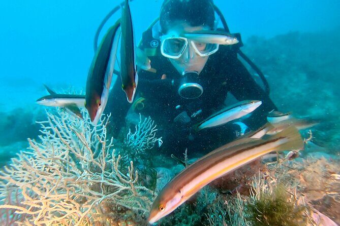 Eco - Try Dive - Frequently Asked Questions