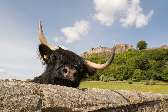 Edinburgh: Loch Lomond, Stirling Castle and the Kelpies Day Tour - Final Thoughts: Is It Worth It?