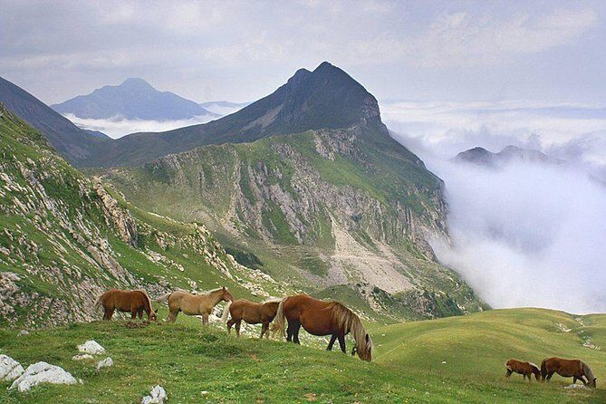El Camino and the Pyrenees Private Day Tour from St-Jean-Pied-de-Port To Roncesvalles - The Value of This Tour