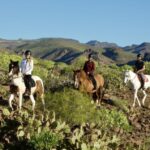 El Salobre: Horse Riding Adventure with Transfer Options - Highlights: Panoramas and Photo Opportunities