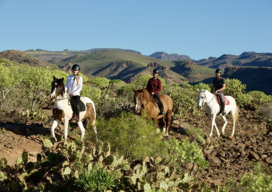 El Salobre: Horse Riding Adventure with Transfer Options - Highlights: Panoramas and Photo Opportunities