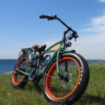 Electric Fatbike - 3H00 GPS-guided circuit"Carnac" - What the Reviews Reveal