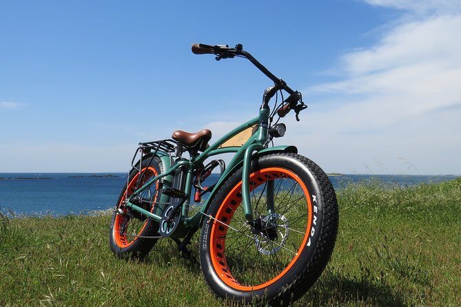 Electric Fatbike - 3H00 GPS-guided circuit"Carnac" - What the Reviews Reveal