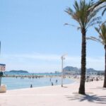 Electric Scooter Rental - FAQ