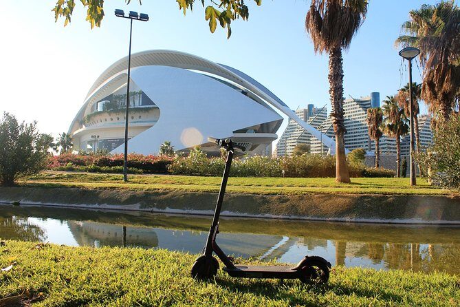 Electric Scooter Rental - Practical Tips for Your Ride