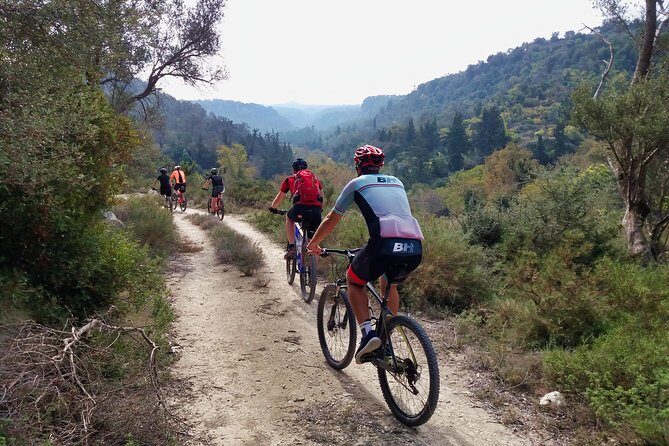 Eleftherna E-Bike and MTB Tour - Experience The Authentic Crete - Practical Details That Matter