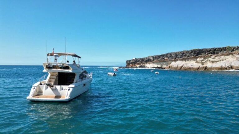 Embark on Ohh Lala sailing along the southwest of Tenerife - Authentic reviews from past travelers