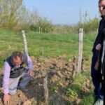 English Speaking Loire Winery Tours originating from Chinon - Exploring the Loire Valley on a Private Winery Tour