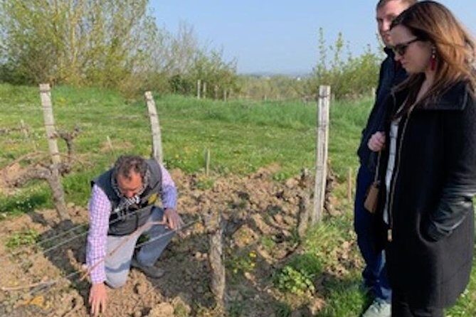 English Speaking Loire Winery Tours originating from Chinon - Exploring the Loire Valley on a Private Winery Tour