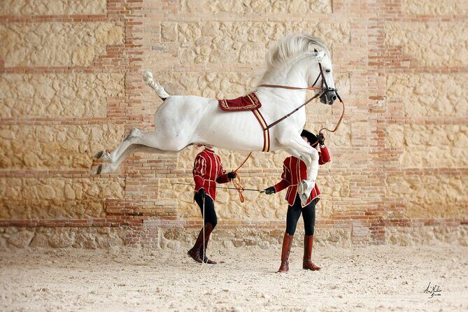 Equestrian Show Royal Stables of Córdoba - Who Will Love This Tour?