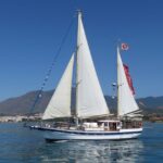 Estepona: Dolphin Watching Sailboat Cruise with Drink - Exploring the Experience in Detail