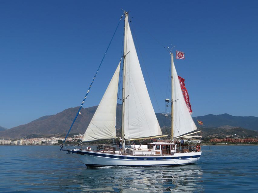 Estepona: Dolphin Watching Sailboat Cruise with Drink - Exploring the Experience in Detail