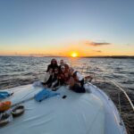 Estepona: Dolphins Searching Sea Cruise with Drink & Snacks - Who Will Love This Dolphin Cruise?