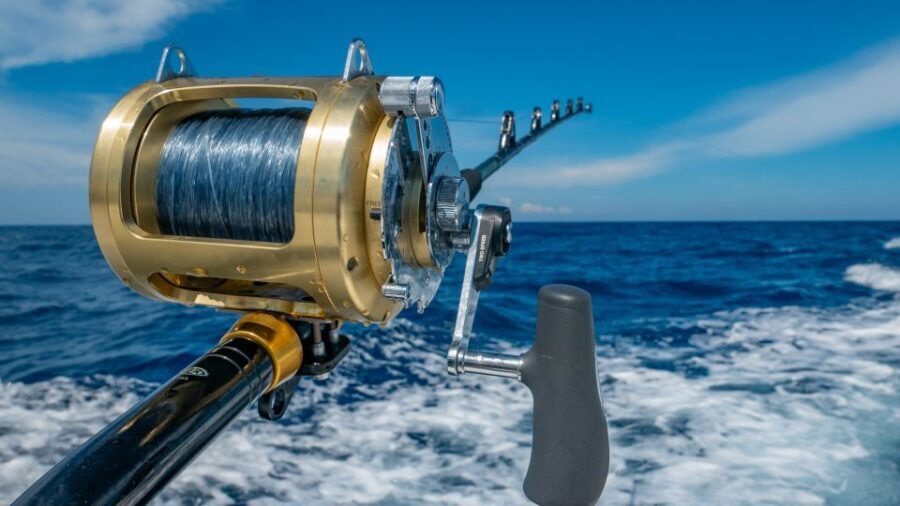Estepona: Fishing Tour StartFisher 1060 - Who Will Enjoy This Tour Most?