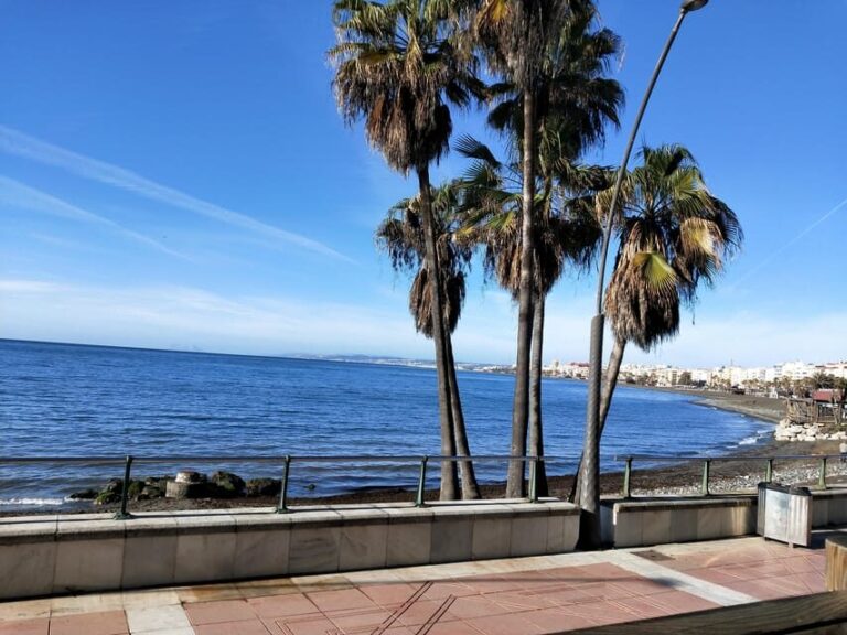 Estepona Walking Tour - City History, Culture & Gastronomy - An Honest Look at the Estepona Walking Tour