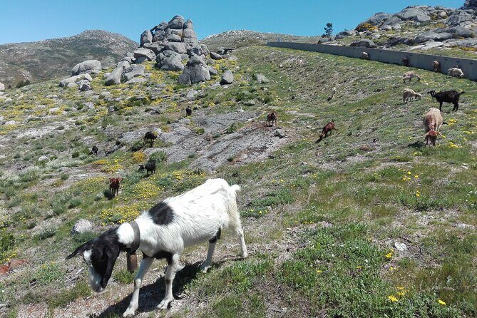 Estrela Mountain, full-day from Coimbra - Final Thoughts