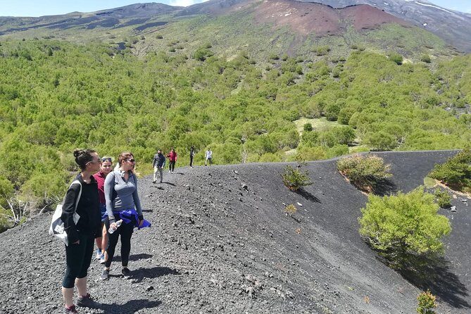 Etna, Wine and Alcantara Tour - From Taormina - Who is This Tour Best Suited For?