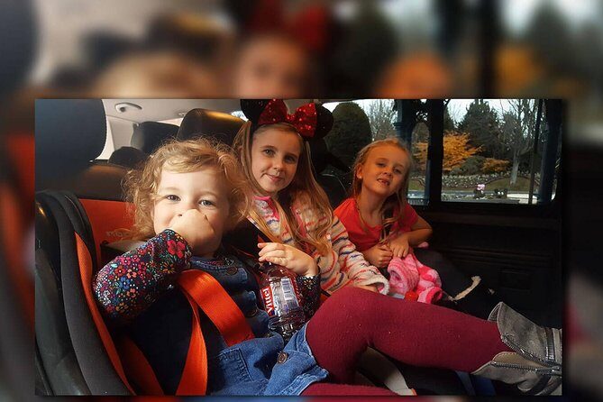 Euro Disney - CDG (One Way) Private Shuttle Transfer - FAQs