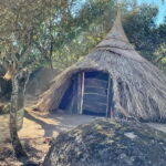 Évora: Cork Factory and Cork Farm Lunch included - What Makes This Tour Special?