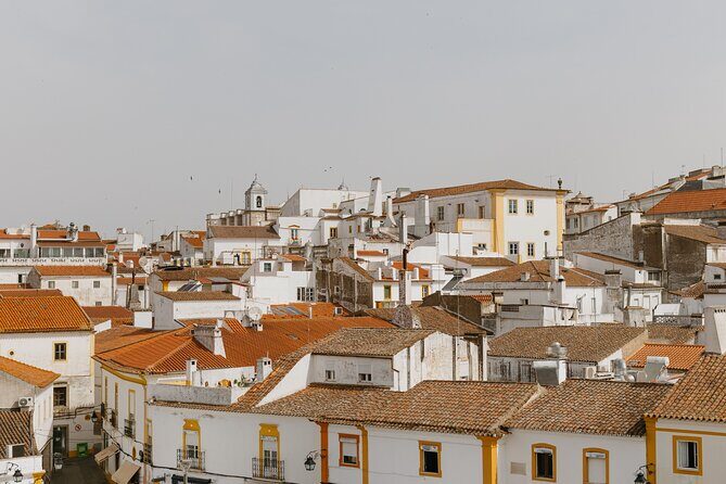 Évora, medieval village Monsaraz & Wine Tasting - Detailed Review of the Tour