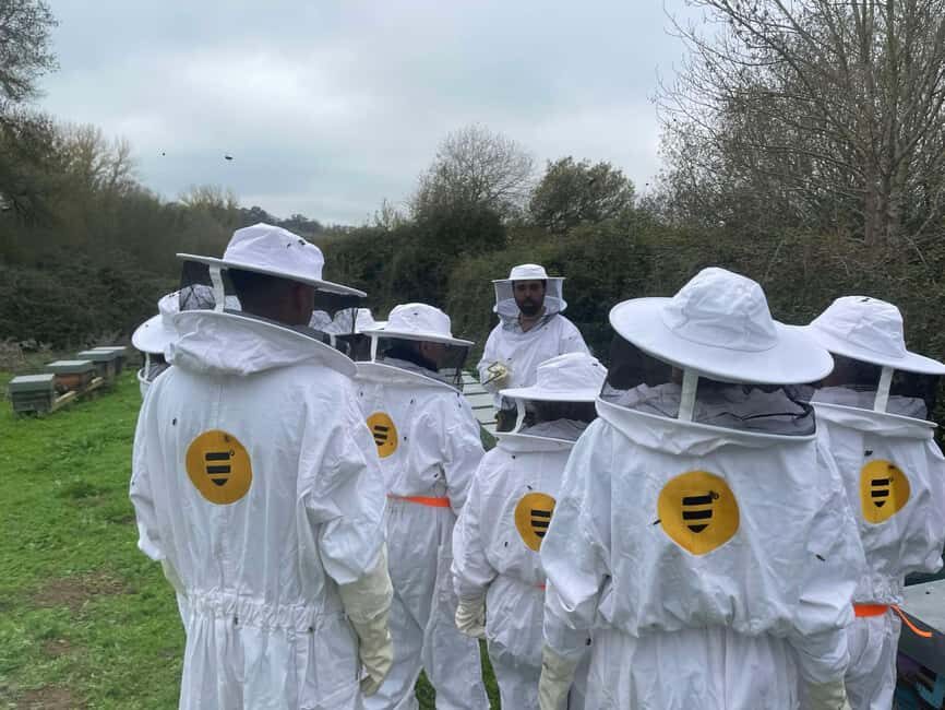 Évora or Montemor: Beekeeping Guided Tour with Honey Tasting - Final Thoughts