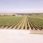 Évora town and the Olive Oil, Wine, and Cork Triangle - Practical Details & Tips