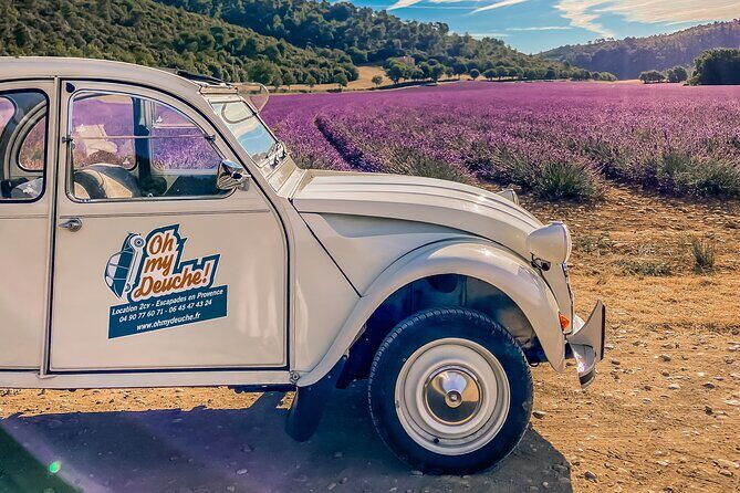 Exceptional 2hp excursion in the Luberon (8h) - Why This Tour Delivers Good Value