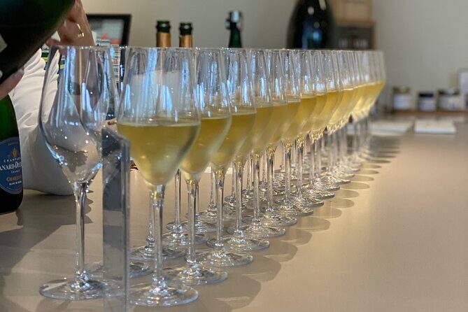 Exclusive Champagne Cellars & Dom Perignon Vineyards tour - Final Thoughts: Who Is This Tour Perfect For?