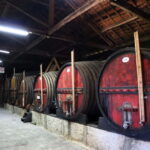 Exclusive Douro Valley: 3 Wineries, 9 Wine Tastings & Lunch - In-Depth Look at the Douro Valley Tour