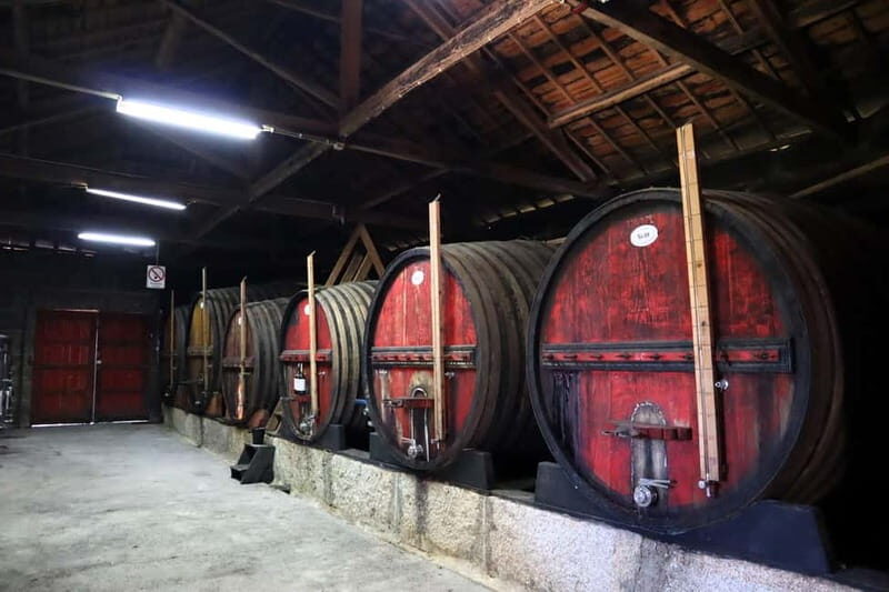 Exclusive Douro Valley: 3 Wineries, 9 Wine Tastings & Lunch - In-Depth Look at the Douro Valley Tour
