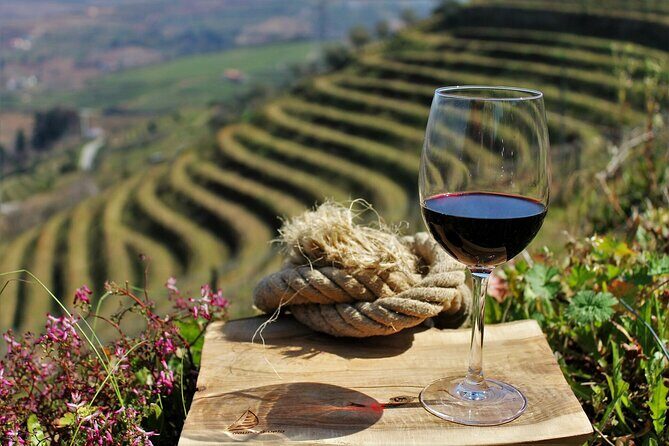 Exclusive Douro Valley: Visit 3 Wineries, 9 Wine Tastings & Lunch - Authentic Insights from Reviews
