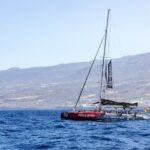 Exclusive Freebird Catamaran Whale & Dolphin to Masca From South - Authentic Experiences and What Youll Take Away